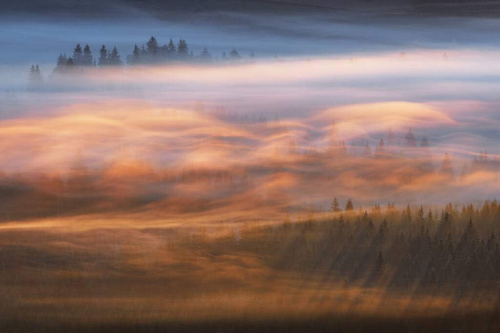 Фото недели. Пламя в тумане