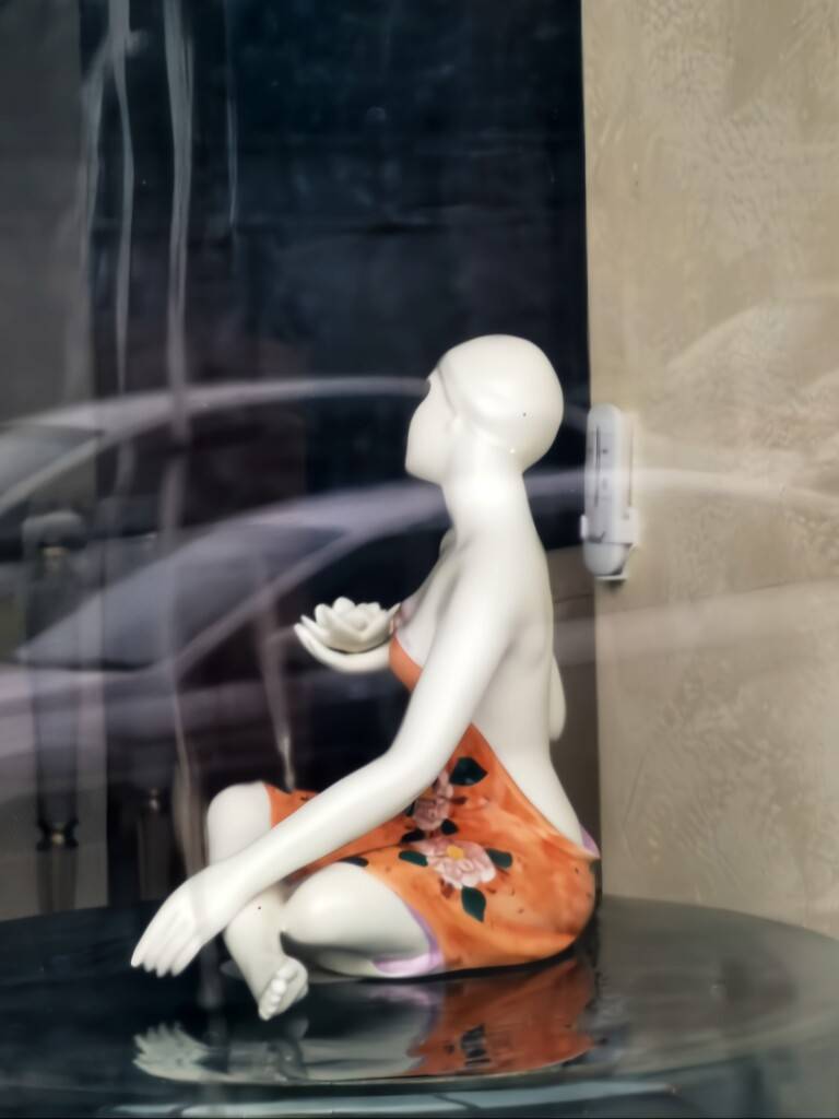 Незнакомка в отражениях 