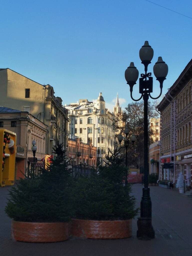 Новогодние ели в центре города, у старинных фасадов