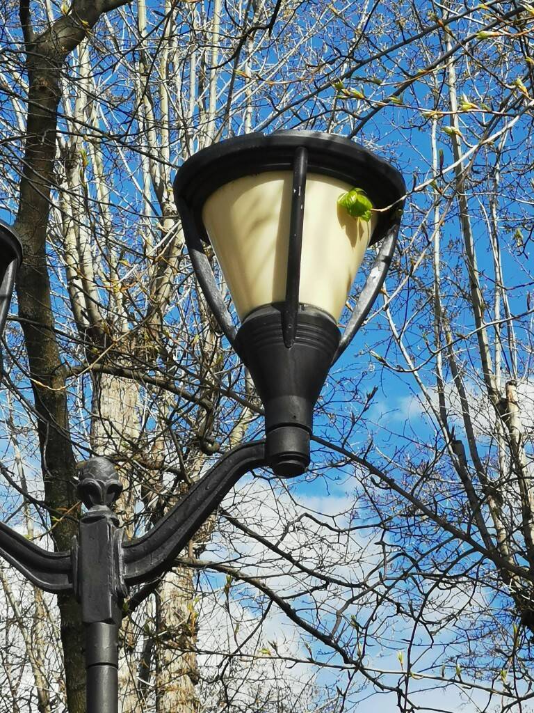 Фонарь и листик