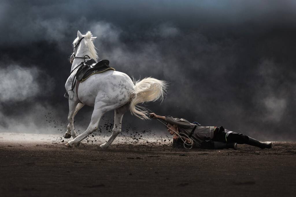 Фото: Partha Pratim Roy / Travel Photographer of the Year 2024