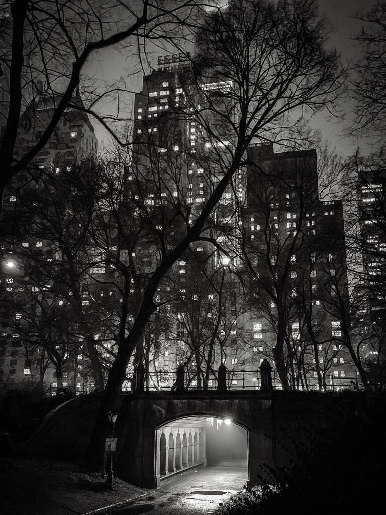 iPhone Photography Awards 2025