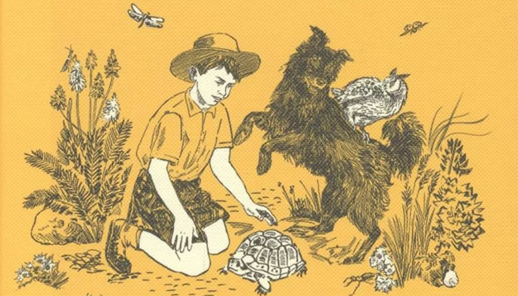 О животных с любовью