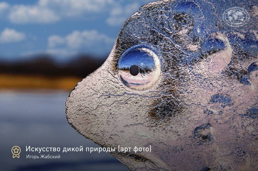 РГО. Итоги конкурса