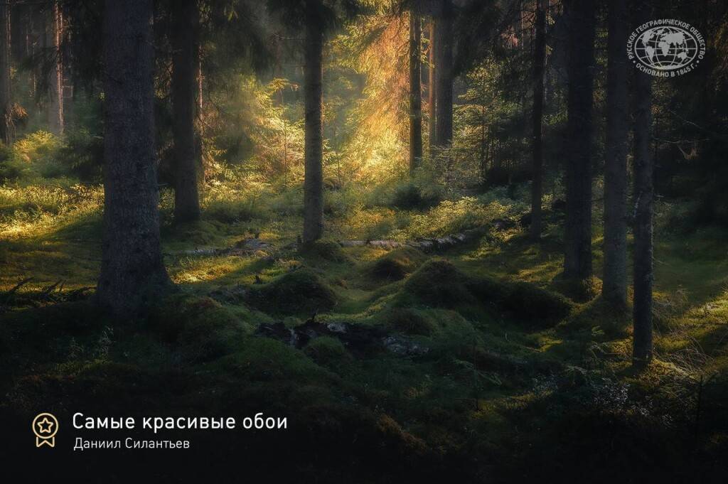 РГО. Итоги конкурса