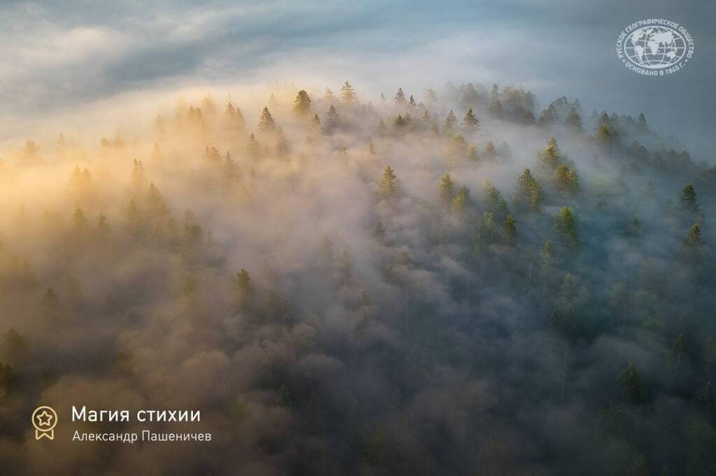 РГО. Итоги конкурса