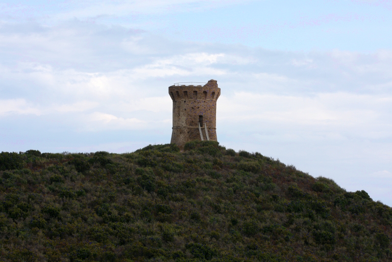 Aleria
