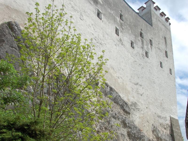 Зальцбург: мощная каменная стена на скале, зелень у подножия