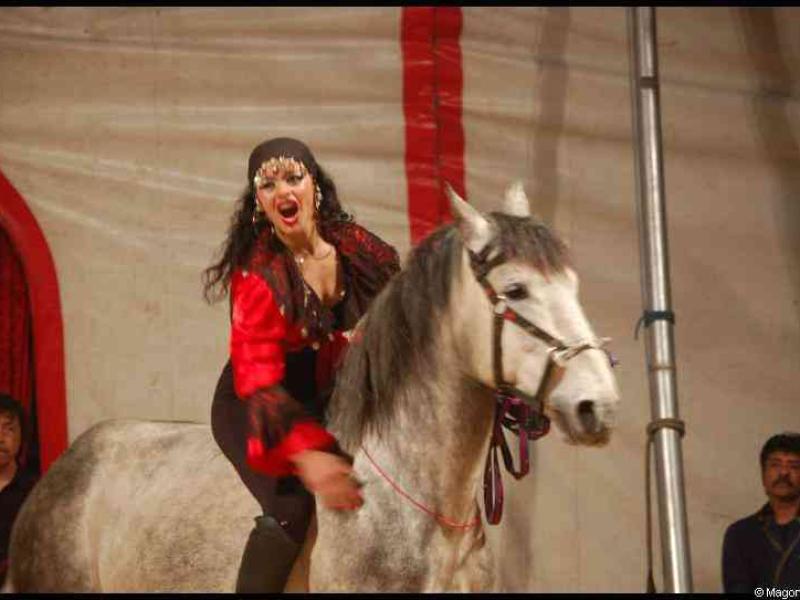 Cirque в Бельгии: женщина на сером коне с бахромой и красным жилетом