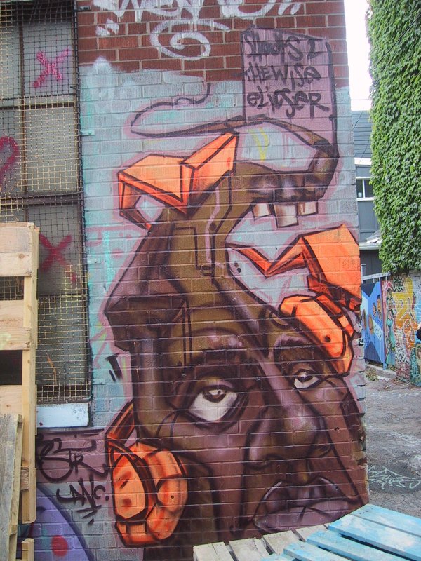 416 Grafitti Expo, Канада: фрагмент стены с граффити и надписью «Shouts 2 the Wise Elvise»