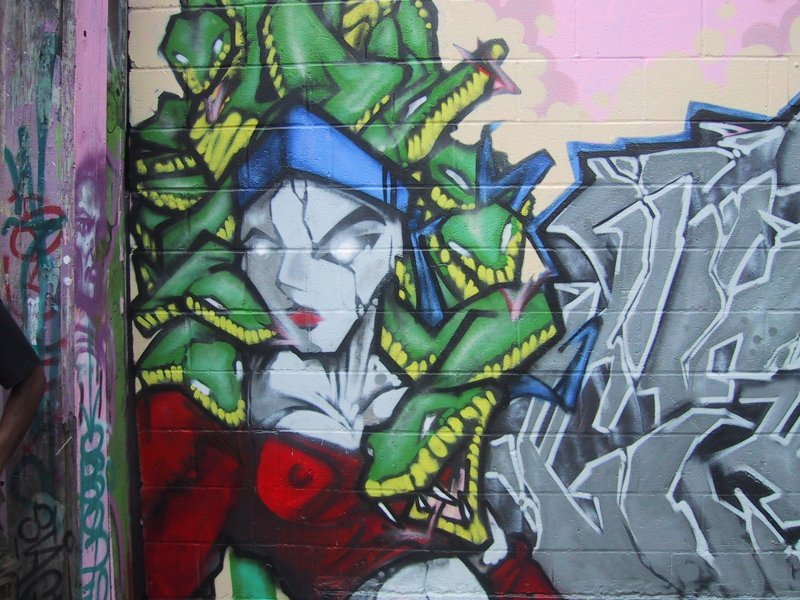 416 Grafitti Expo, Канада: змеиный шлем и серая бетонная стена