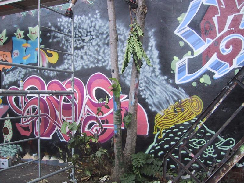 416 Grafitti Expo, Канада: дерево растёт сквозь стволы граффити-стен и лестницу