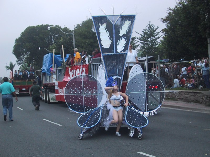 Caribana 2003 в Торонто: бабочка на фестивальной карете с надписью «Sereca»