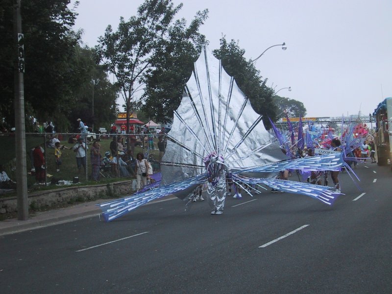 Caribana 2003 в Торонто: сияющий бабочкой-паразитом на улице