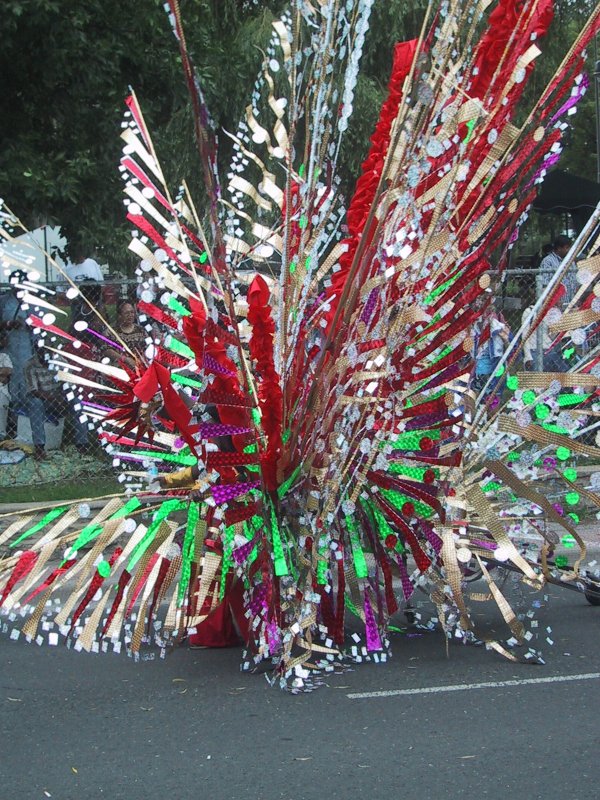 Caribana 2003, Торонто: костюм с резными лентами и блестками