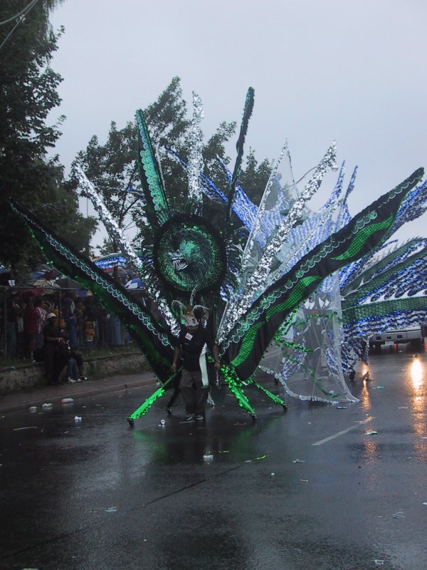 Caribana 2003, Торонто: зелёный дракон на мокрой улице