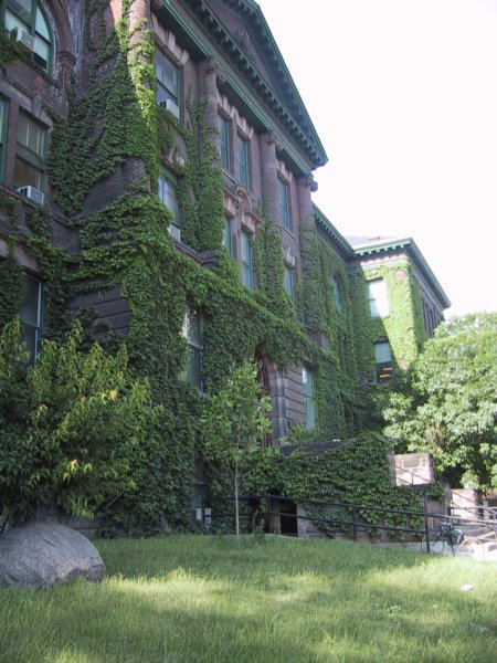 Зелёный фасад старинного здания в Green Toronto