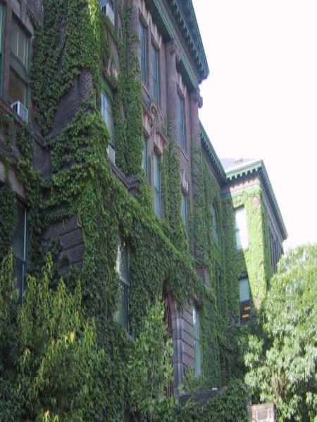 Зелёный фасад старинного здания в Green Toronto