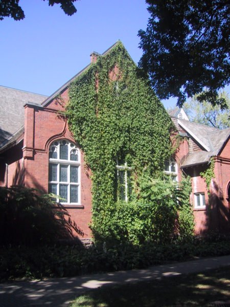 Красный кирпич и плющ на улице в Green Toronto
