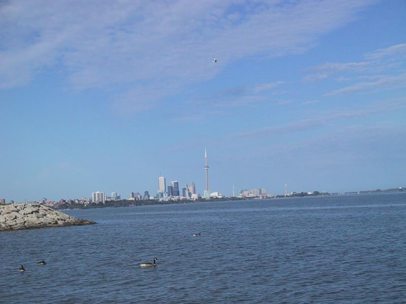 Торонто с воды: CN Tower и гуси на Грейт-Лейк-Ридж