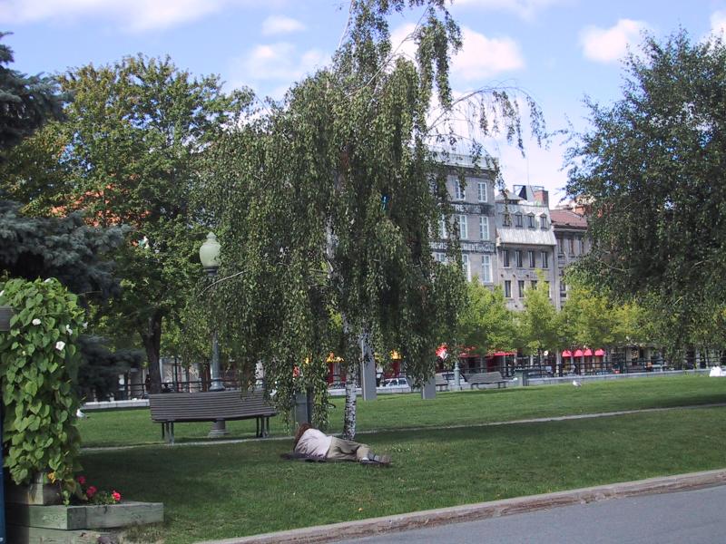Монреаль, парк у старинных зданий, 2004