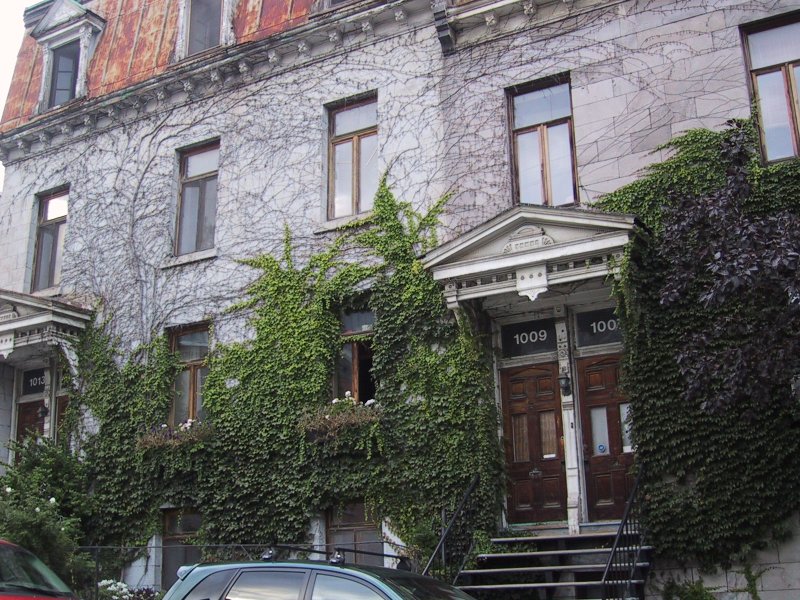 Монреаль, 2004: дом 1009 на улице с вьющимися плющами