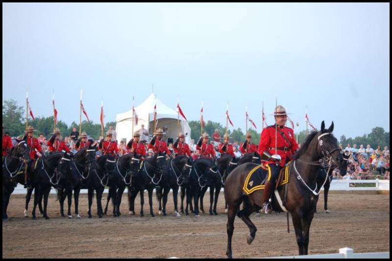 RCMP в красных мундирах и чёрных лошадях на поле в Канаде