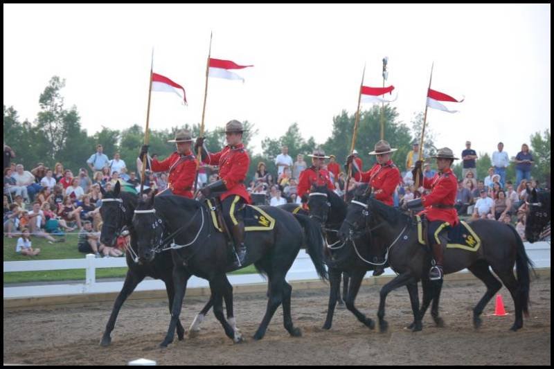 RCMP в красных мундирах на черных лошадях в Канаде