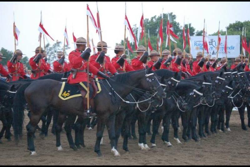 RCMP в красных мундирах и чёрных лошадях на поле в Канаде