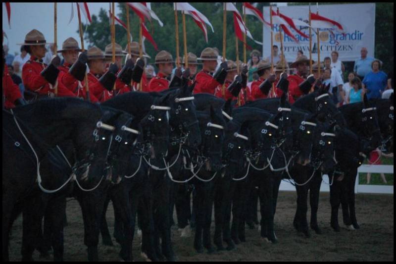 RCMP в форме с черными лошадьми на параде в Отауа