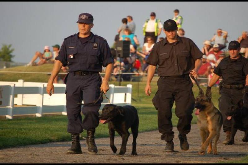 RCMP-полицейские с собаками на демонстрации в Канаде