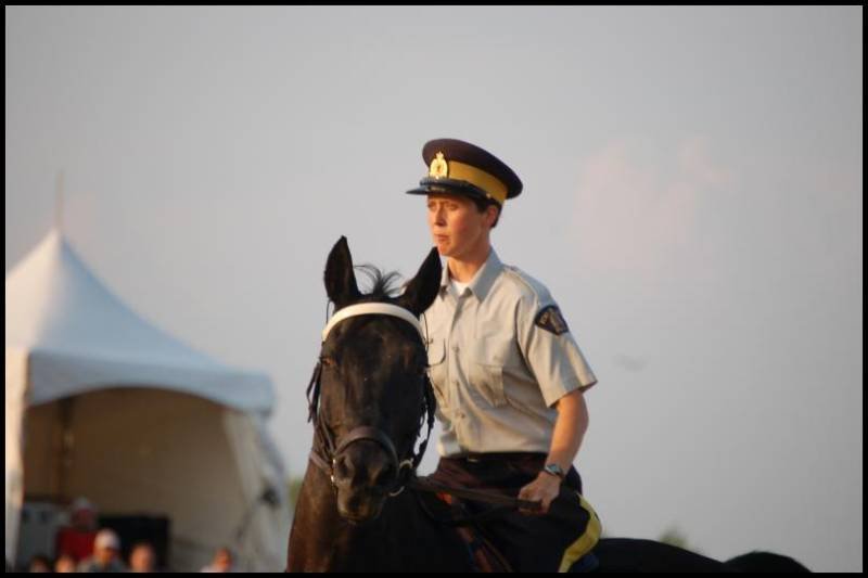 RCMP-конный патруль в Канаде: офицер на чёрном коне у белой палатки