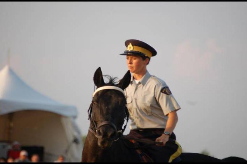 RCMP-конный патруль в Канаде: офицер на чёрном коне у белой палатки