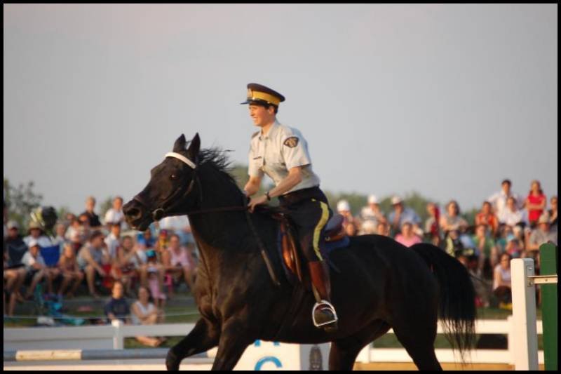 RCMP-конный полк в Канаде: черный жеребец и офицер в парадной форме