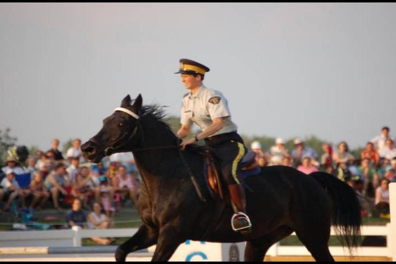 RCMP-конный полк в Канаде: черный жеребец и офицер в парадной форме