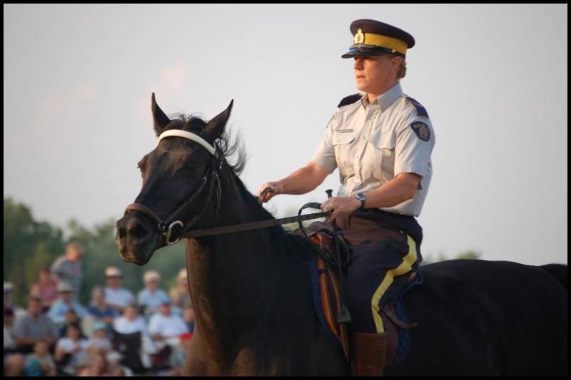 RCMP-конный патруль в Канаде: офицер на чёрном коне перед зрителями