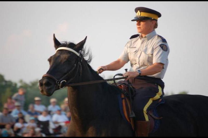 RCMP-конный патруль в Канаде: офицер на чёрном коне перед зрителями