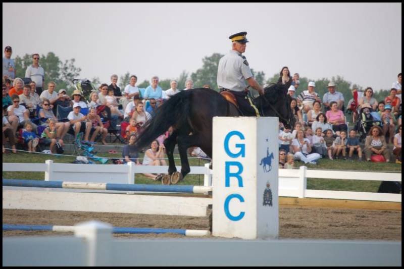 RCMP-конный патруль в Канаде: всадник на чёрном коне у барьера GRC