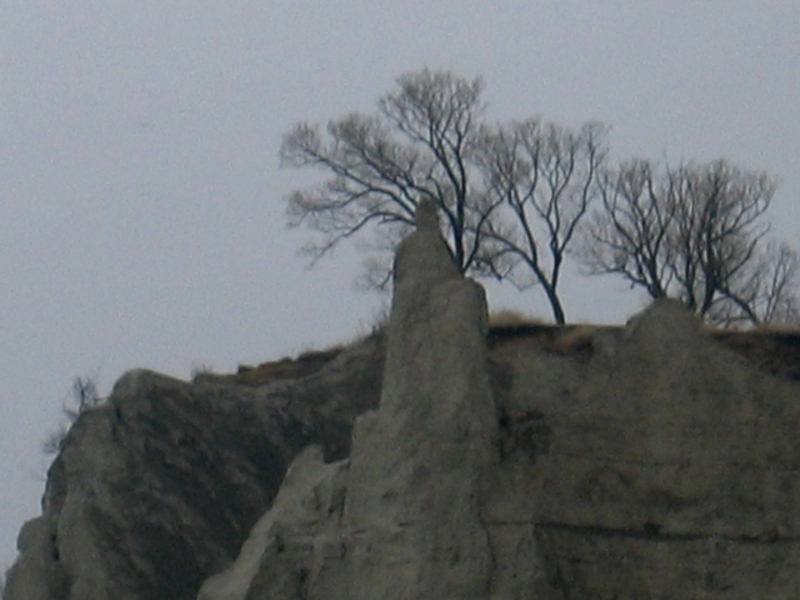 Scarborough Bluffs: скальные утесы и голые деревья над Гудзоновым заливом