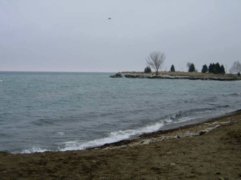 Scarborough Bluffs: прибрежные утесы и одиночное дерево над водой