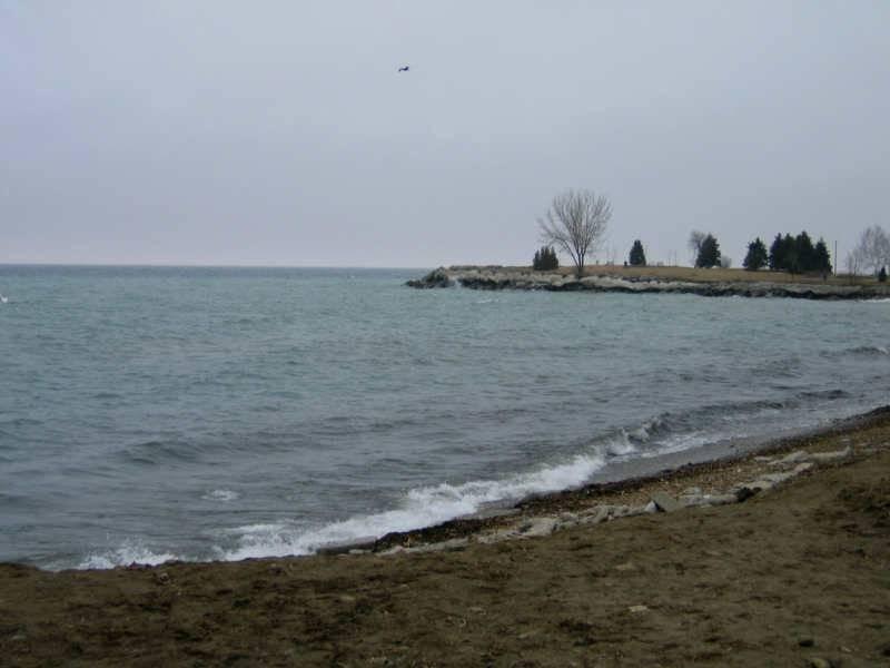 Scarborough Bluffs: прибрежные утесы и одиночное дерево над водой