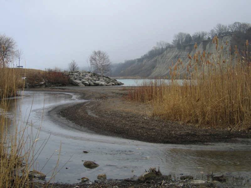 Scarborough Bluffs: изогнутая тропа у воды, камни и редкие деревья