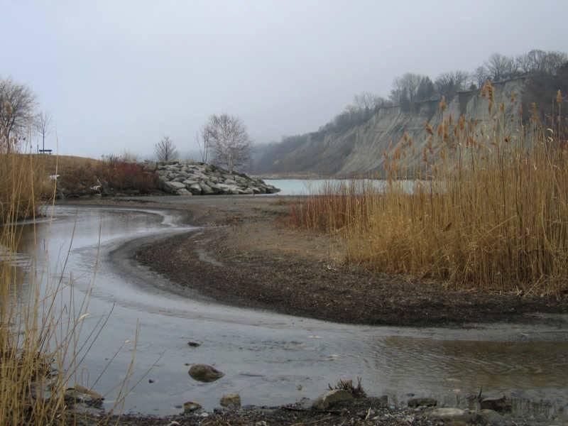 Scarborough Bluffs: изогнутая тропа у воды, камни и редкие деревья