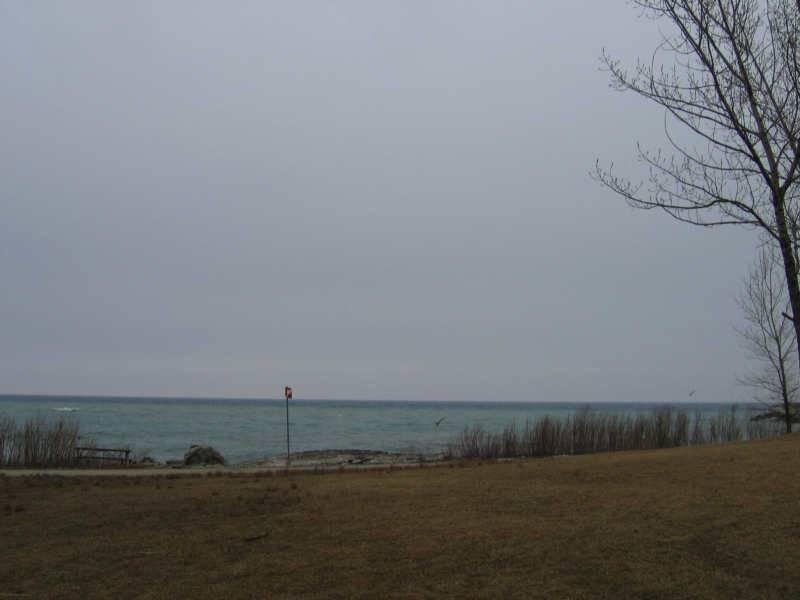 Scarborough Bluffs, Канада: тихий берег с голыми ветвями и бирюзовой водой