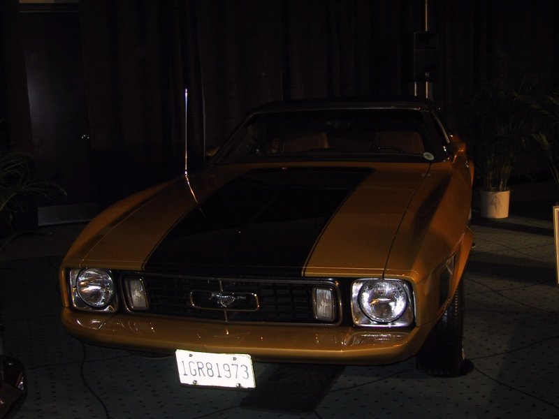 Toronto Autoshow 2004: золотой Ford Mustang с чёрной полосой и номером 1GR81973