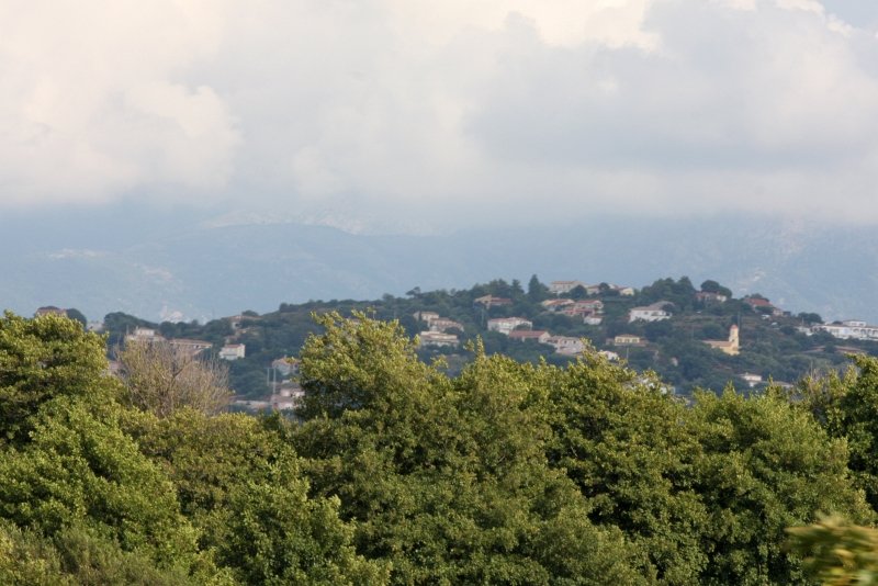Ajaccio, 2008: холм с домами и башней над зеленью