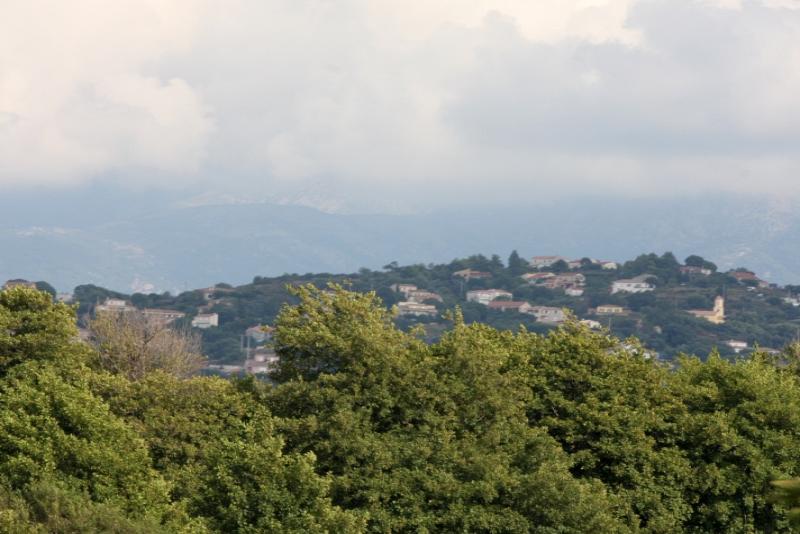 Ajaccio, 2008: холм с домами и башней над зеленью