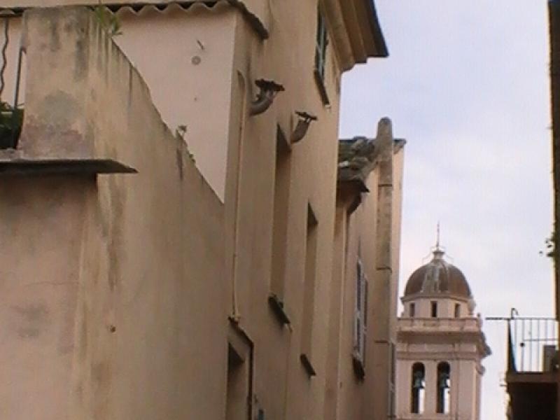 Ajaccio, 2008: узкий проход между бежевыми домами и колокольней собора