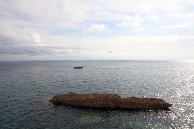 Бонифачо, Корсика, 2008: скала с морской растительностью и паромом на горизонте