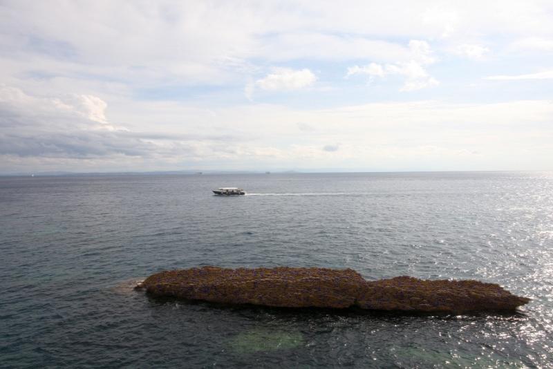Бонифачо, Корсика, 2008: скала с морской растительностью и паромом на горизонте